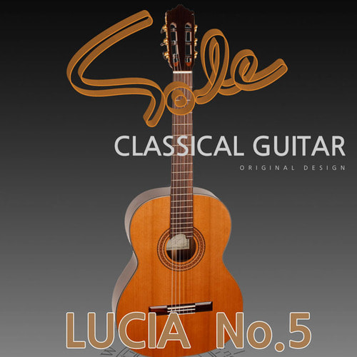 Sole LUCIA No.5 탑솔리드 시터탑 로즈우드 백사이드 클래식 기타